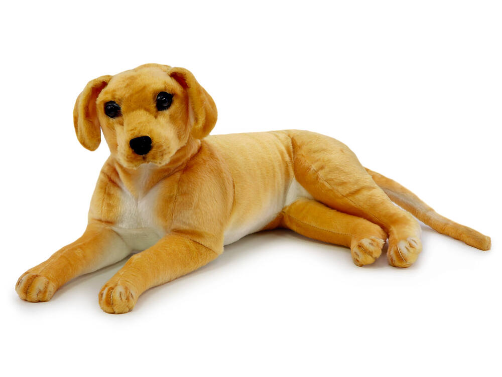 Plyšový pes labrador ležící 57 cm + ocas 22 cm